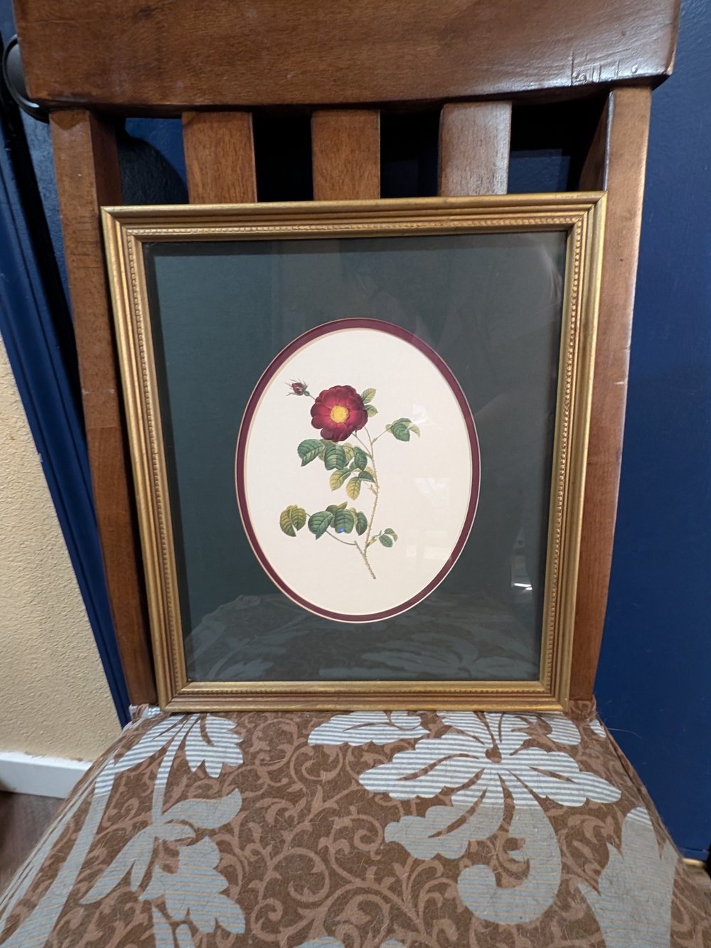 Vintage Style Framed Red Rose Botanical Print Gold Frame 13.5 x 15.25